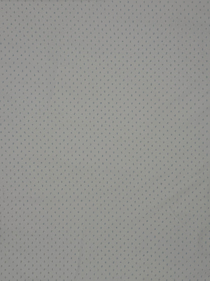 White Fabric with Blue Swiss Dot