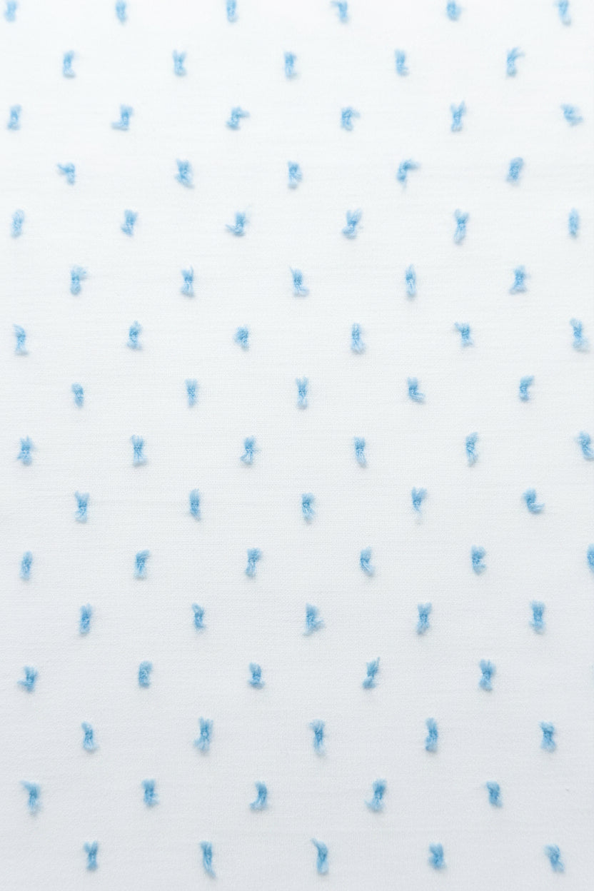 White Fabric with Blue Swiss Dot